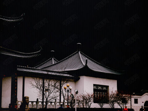 鲁迅经典语录 人生篇（三）