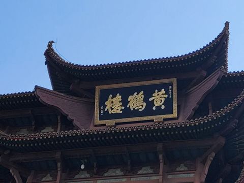 开花的心