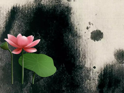 开花的心