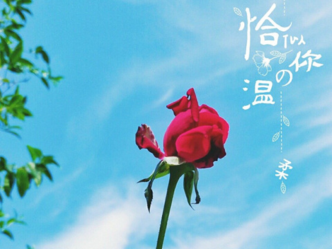 有些人渐渐地不联系了