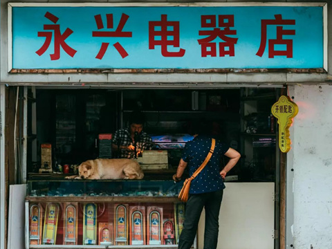 爱归里