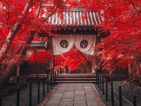 战争（节选）〔俄罗斯〕普希金