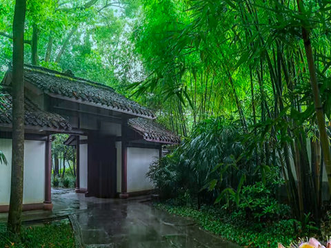 开花的心