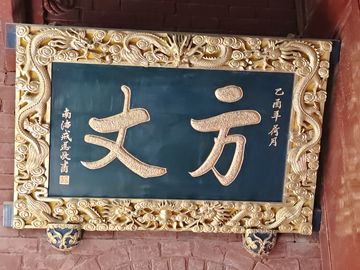 那枝康乃馨(朱克波)